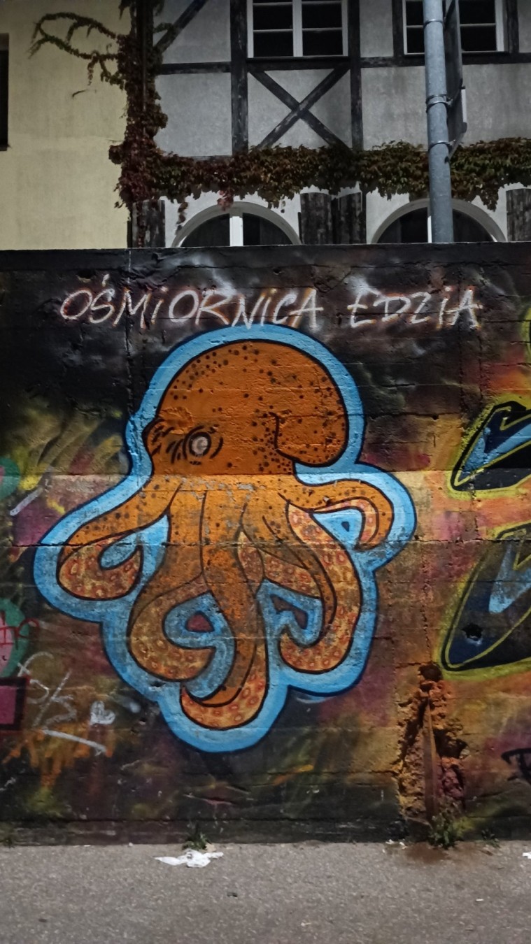 Graffiti z pomarańczową ośmiornicą w błękitnym obrysie. Podpis - Ośmiornica Edzia.