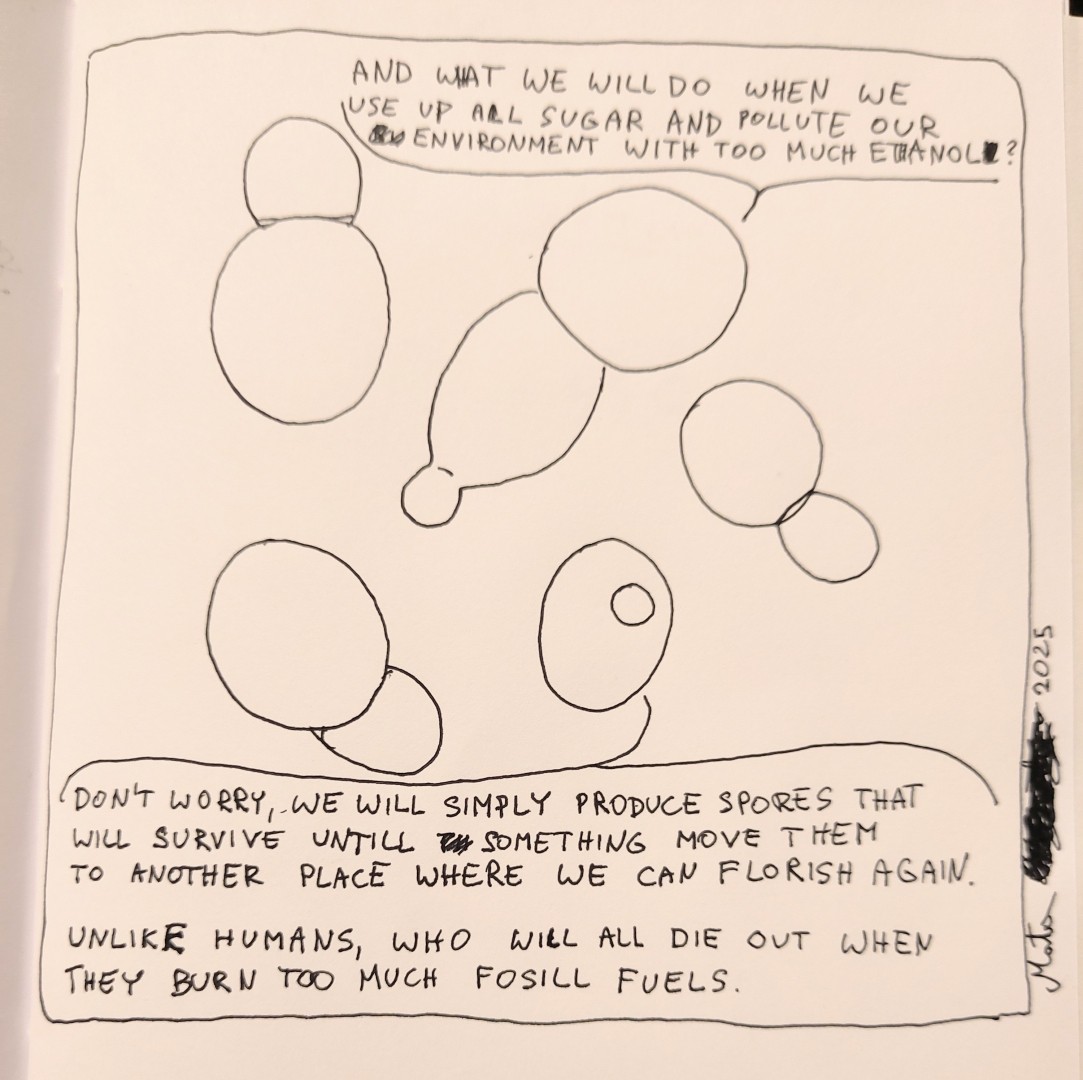 A drawing of a group of yeast cells talking to each other:
Cell 1: "And what we will do when we use up all sugar and pollute our environment with too much ethanol?"
Cell 2: "Don't worry, we will simply produce spores that will survive untill something move them to another place, where we can florish again. Unlike humans, who will all die out when they burn too much fossil fuels.